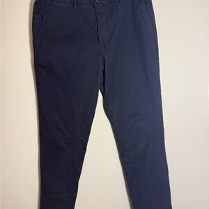 Banana Republic Dark Blue Chinos